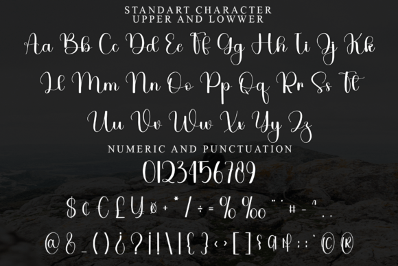 Alisha Font - Preview 3