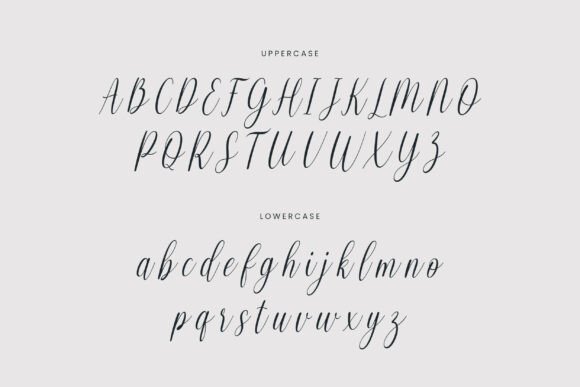 Balerina Font - Preview 1
