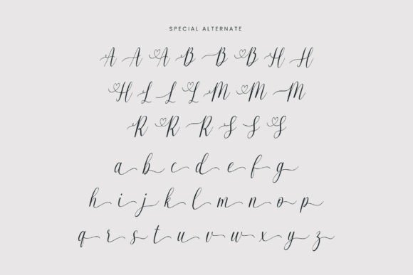 Balerina Font - Preview 3