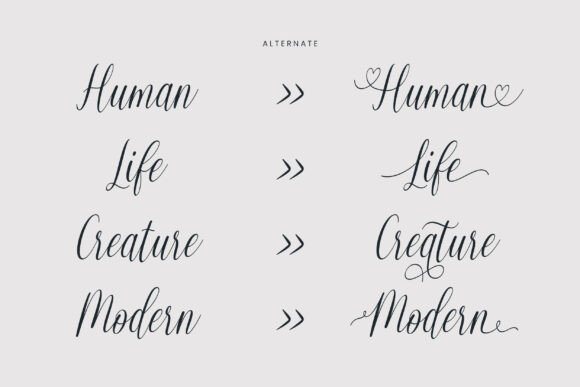 Balerina Font - Preview 4