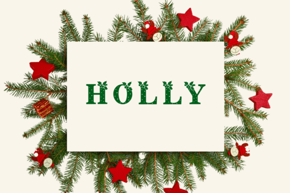 Christmas Holly Font - Preview 3
