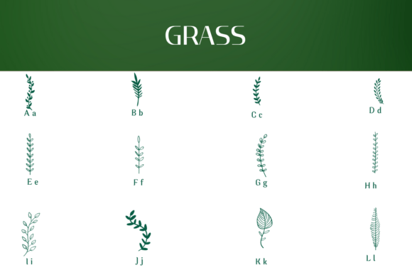 Leaf Line Art Font PNG with transparent background - Preview 1