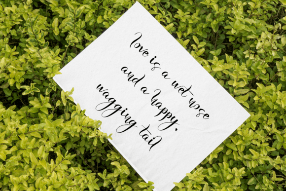October Calligraphy Font PNG with transparent background - Preview 2