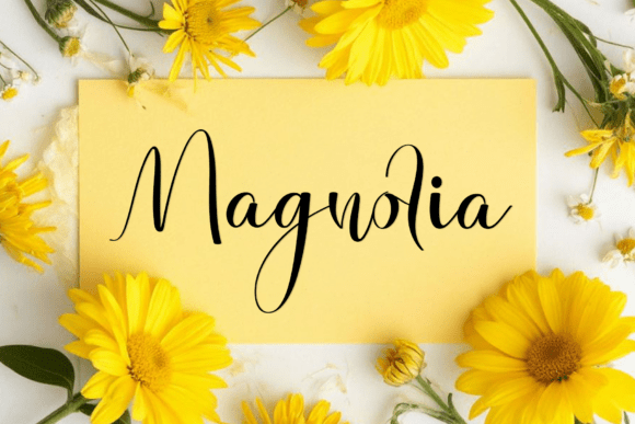 October Calligraphy Font PNG with transparent background - Preview 4