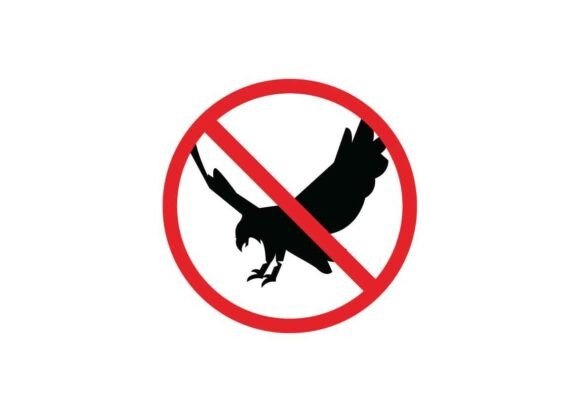 Buzzards Danger Signs