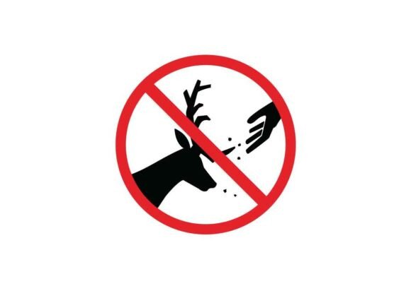 Do Not Feed the Deer Signs