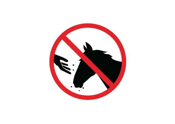 Do Not Feed the Horses Signs