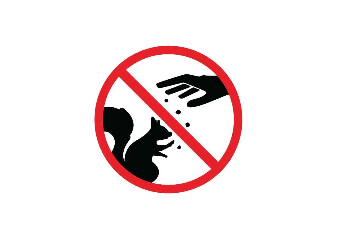 Do Not Feed the Squirrels Signs