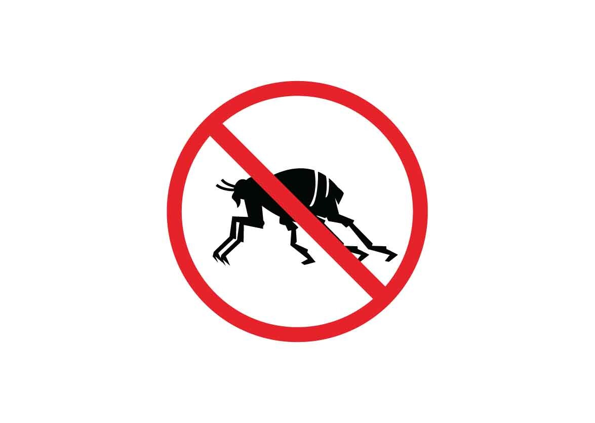 Flea Danger Signs