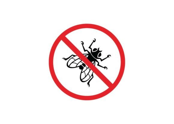 Fly Insect Danger Signs