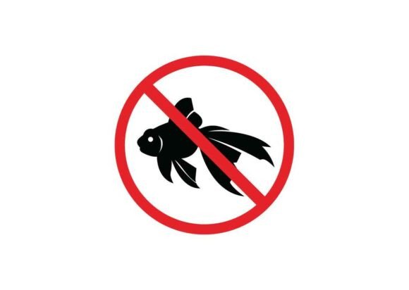 Gold Fish Danger Signs