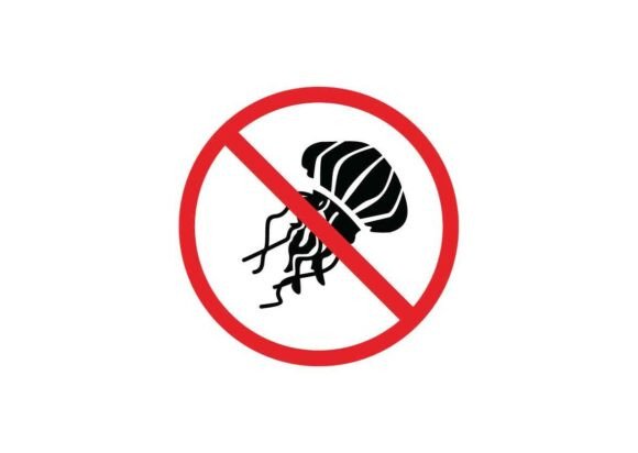 Jellyfish Danger Signs