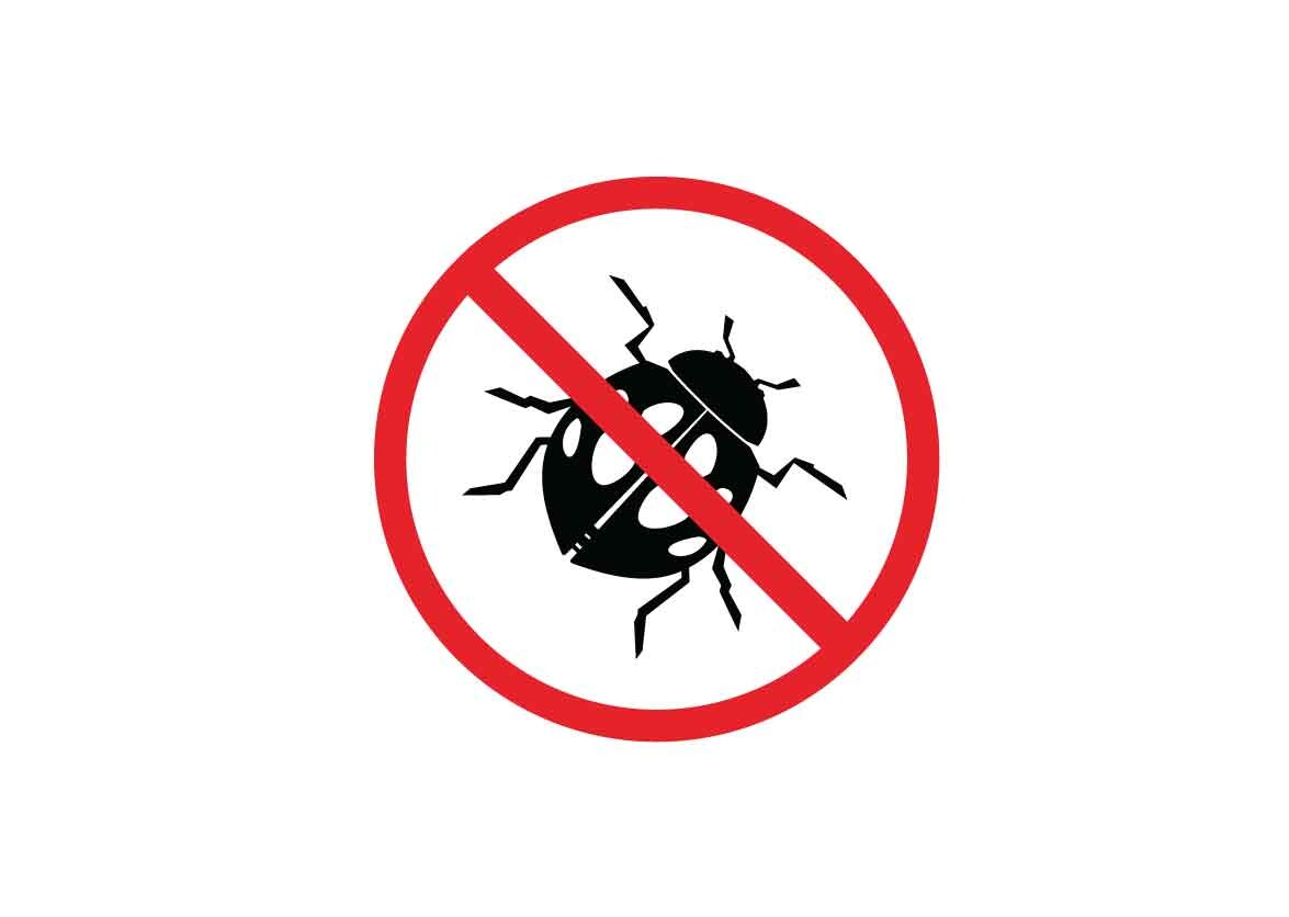 Ladybug Danger Signs