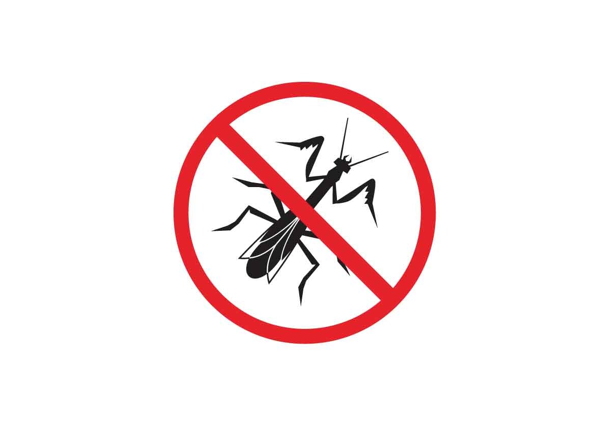 Mantis Danger Signs