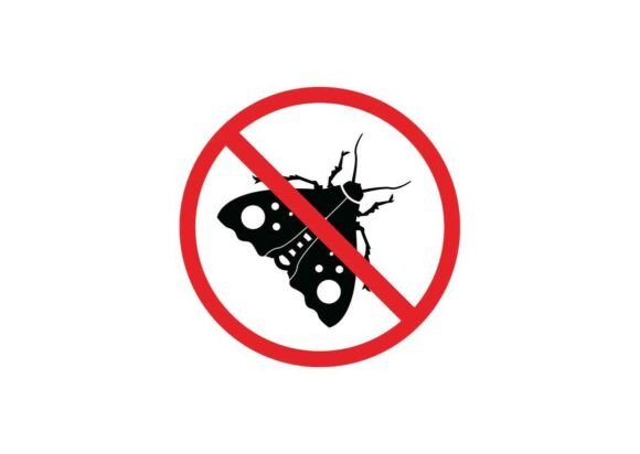 Moth Danger Signs