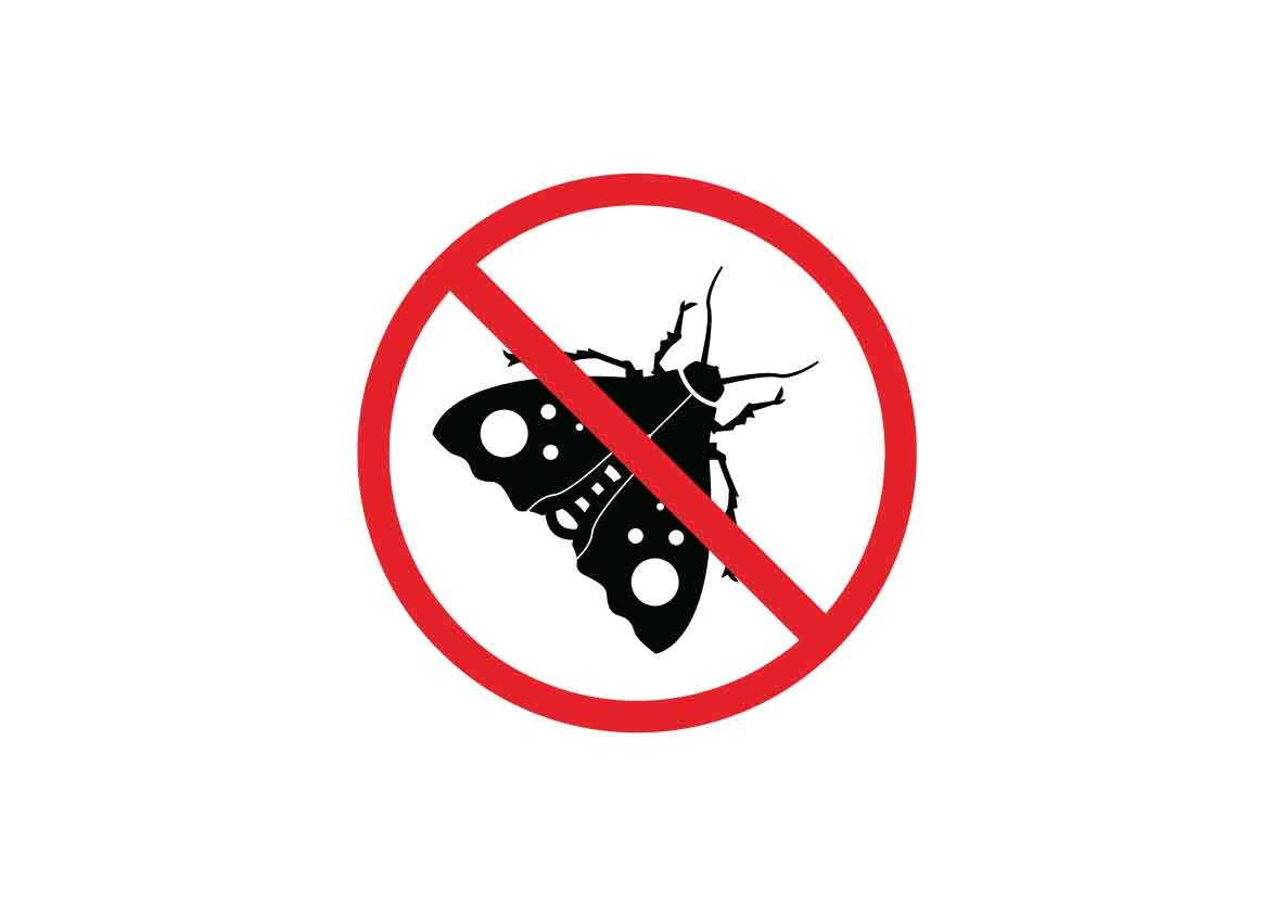 Moth Danger Signs