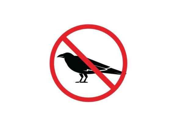 Raven Danger Signs