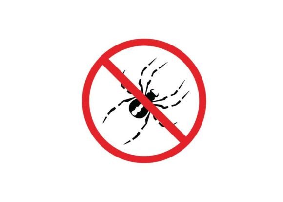 Spider Danger Signs