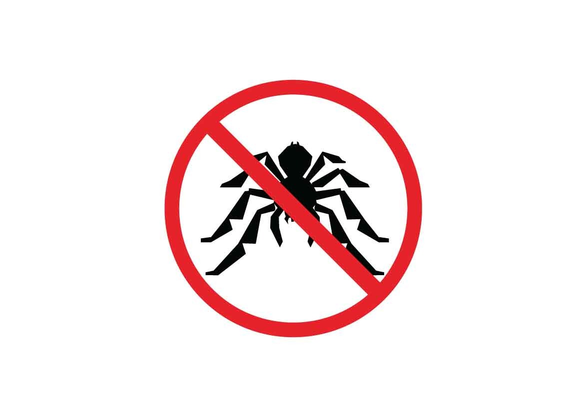 Tarantula Danger Signs