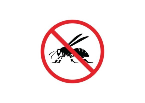 Wasp Danger Signs