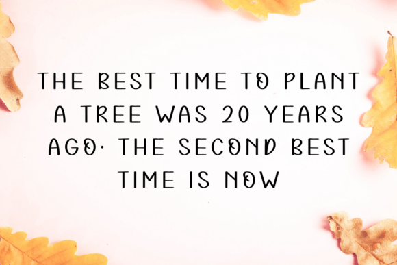 Autumn Season Font - Preview 1