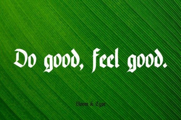 Bhajaniya Font - Preview 6