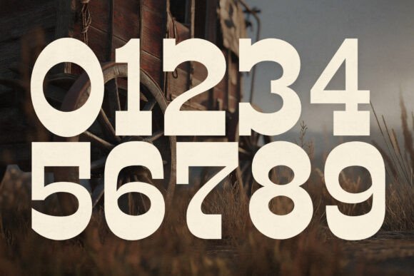 Buffalo Range Font - Preview 2