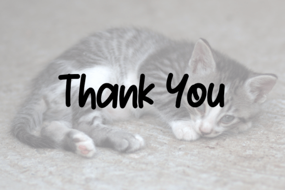 Cute Kitty Font - Preview 3