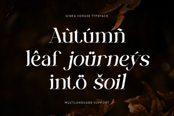 Ginka Voraxe Font - Preview 5