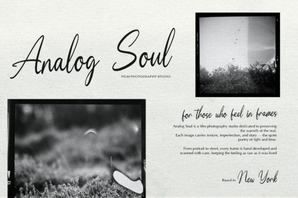 Moonlit Muse Font PNG with transparent background - Preview 3