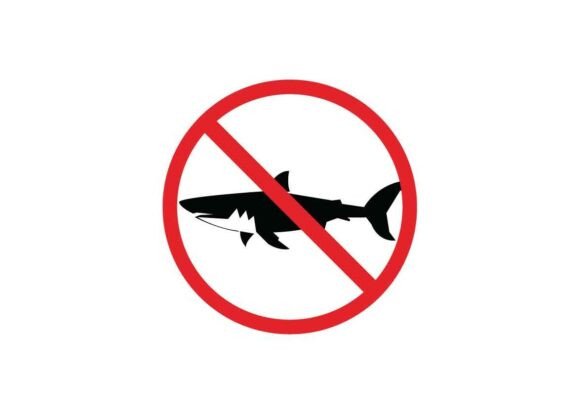 Shark Danger Signs