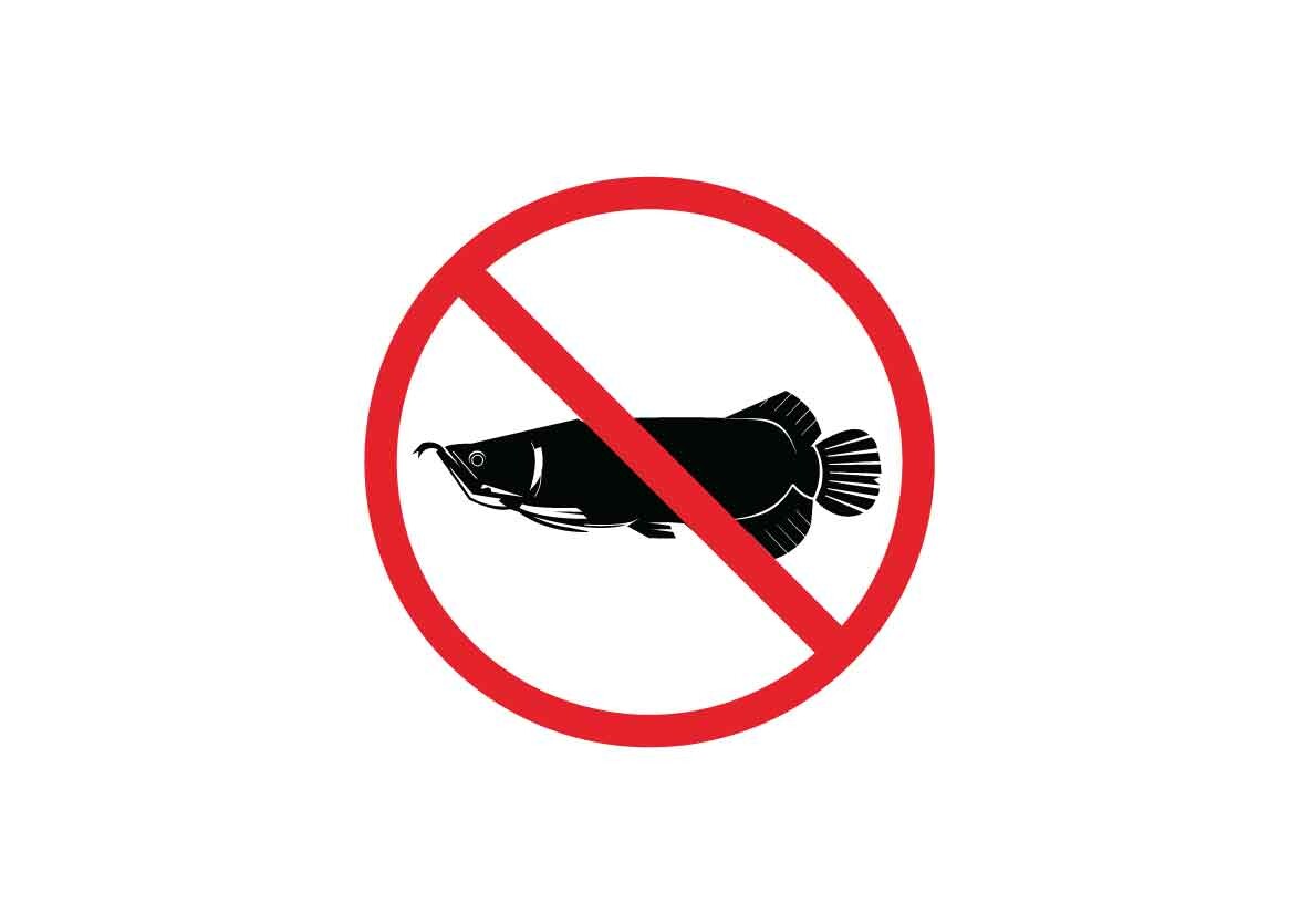 Prohibited and Dangerous Arwana Signs