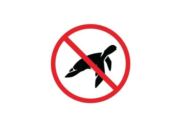 Prohibited and Dangerous Turtle Signs