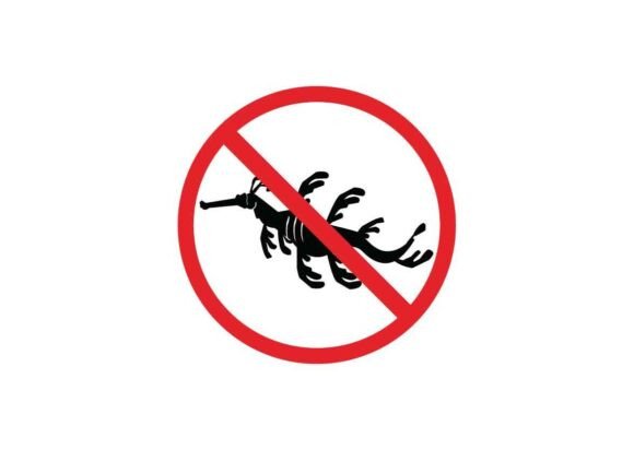 Prohibited Leafy Sea Dragon Signs