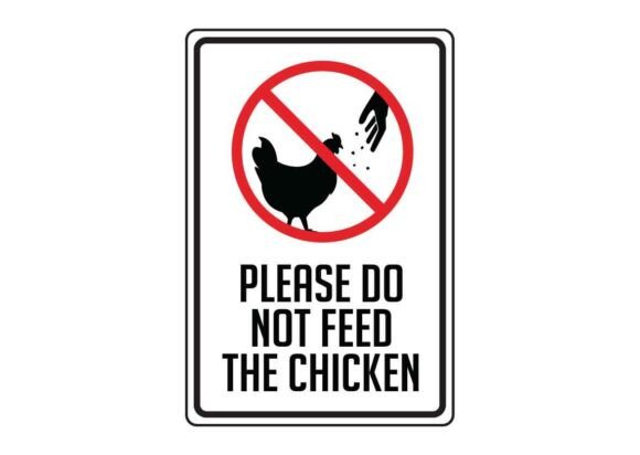 Sign Please Do Not Feed the Chicken