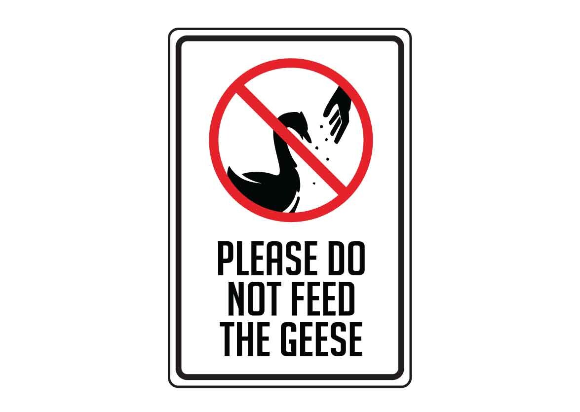 Sign Please Do Not Feed the Geese