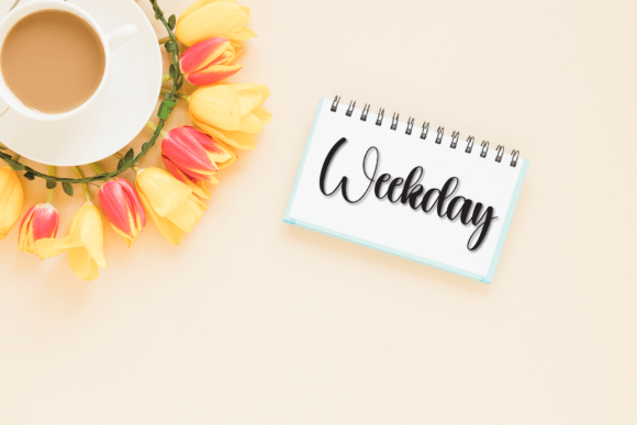 Camping Font - Preview 4