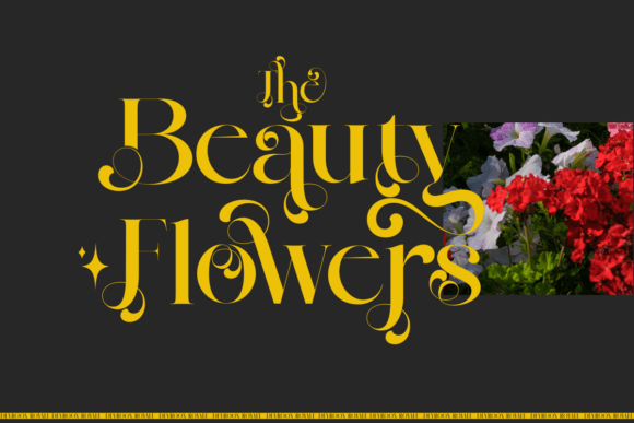 Devroon Royale Font - Preview 4