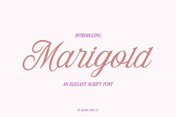 Marigold