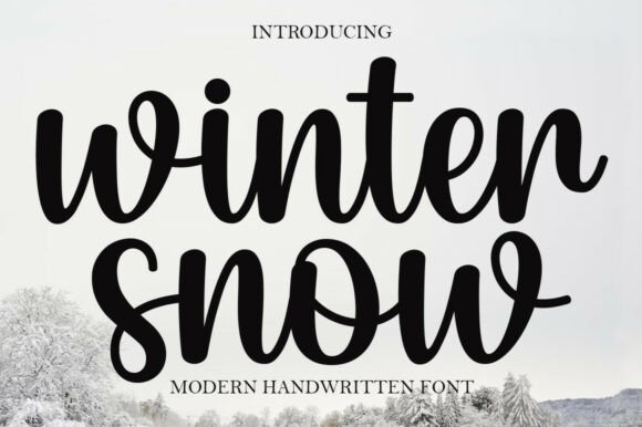 Winter Snow Polices Manuscrites Police Par Kama Studio