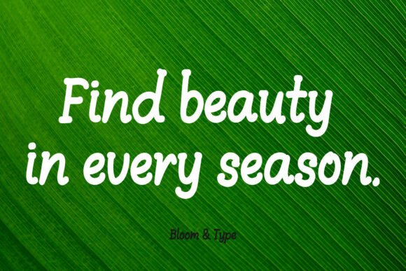 Bellivine Font - Preview 4