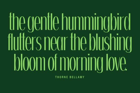 Belinda Font - Preview 4