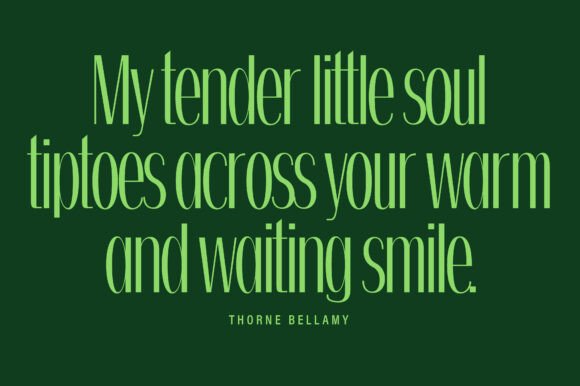 Belinda Font - Preview 5