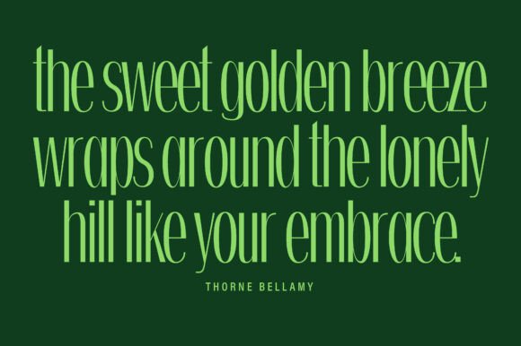 Belinda Font - Preview 6