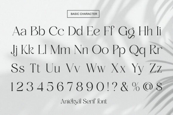 Aniekyal Font - Preview 6