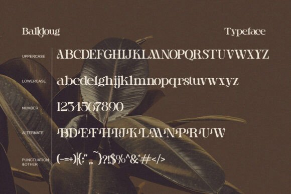 Balldoug Font - Preview 3