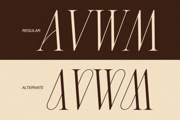 Charnoir Font - Preview 4