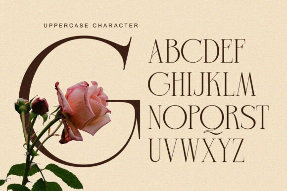 Charnoir Font - Preview 5