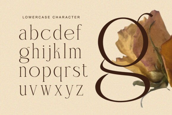 Charnoir Font - Preview 6