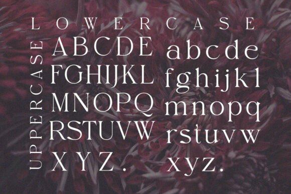 Elaine Dawn Font PNG with transparent background - Preview 5